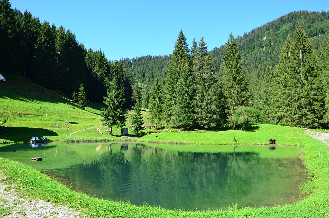 bergsee  forest  water free photo