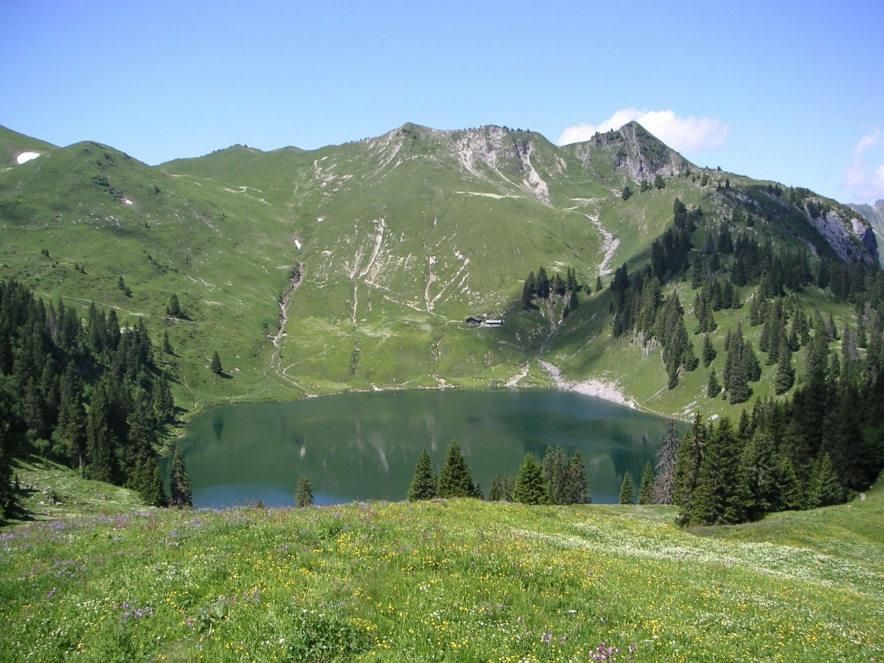 bergsee oberland switzerland free photo