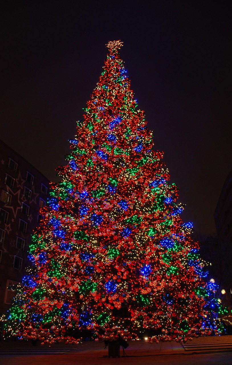 berlin christmas tree free photo