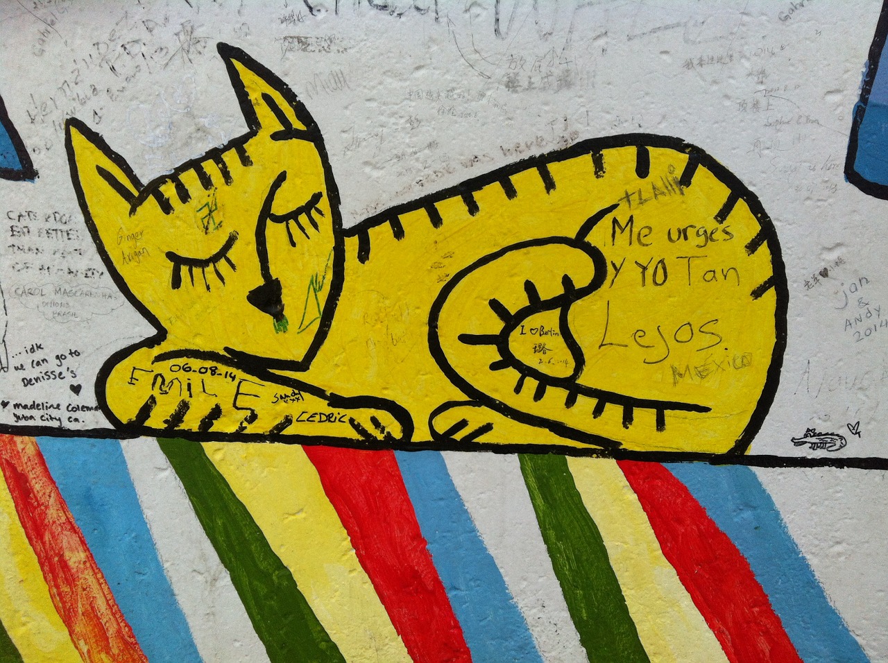 berlin cat graffiti free photo