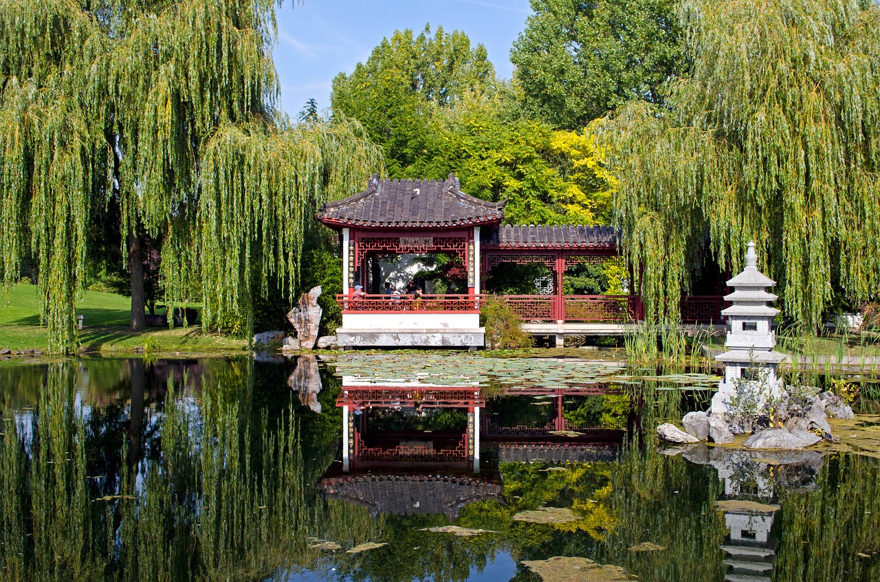 berlin marzahner garden reflection in water free photo