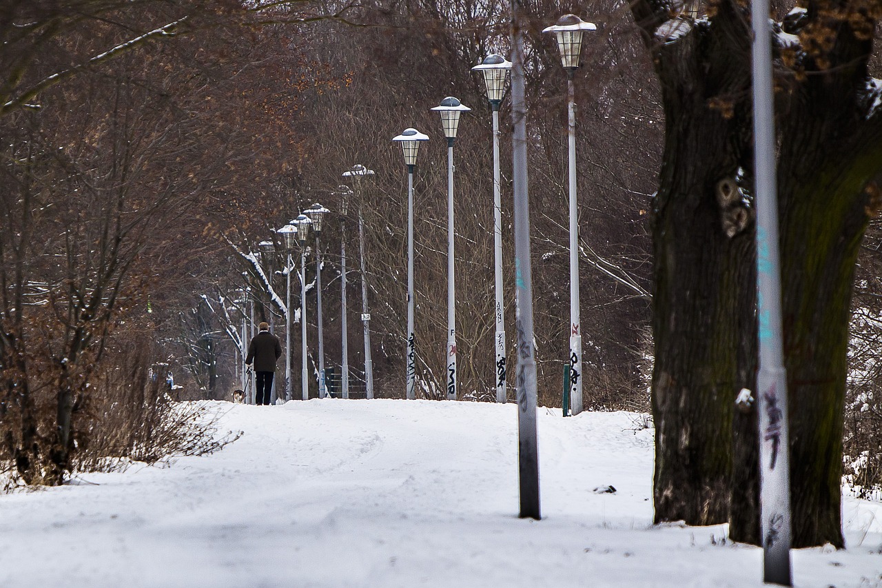 berlin malchow winter free photo