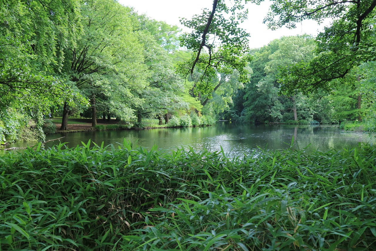 berlin  nature  lake free photo