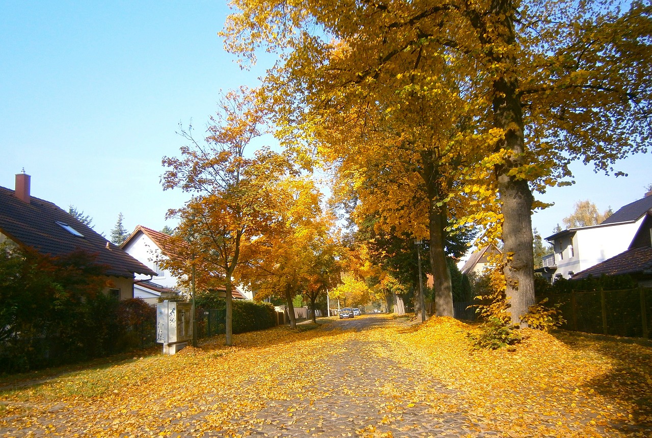 berlin germany city free photo