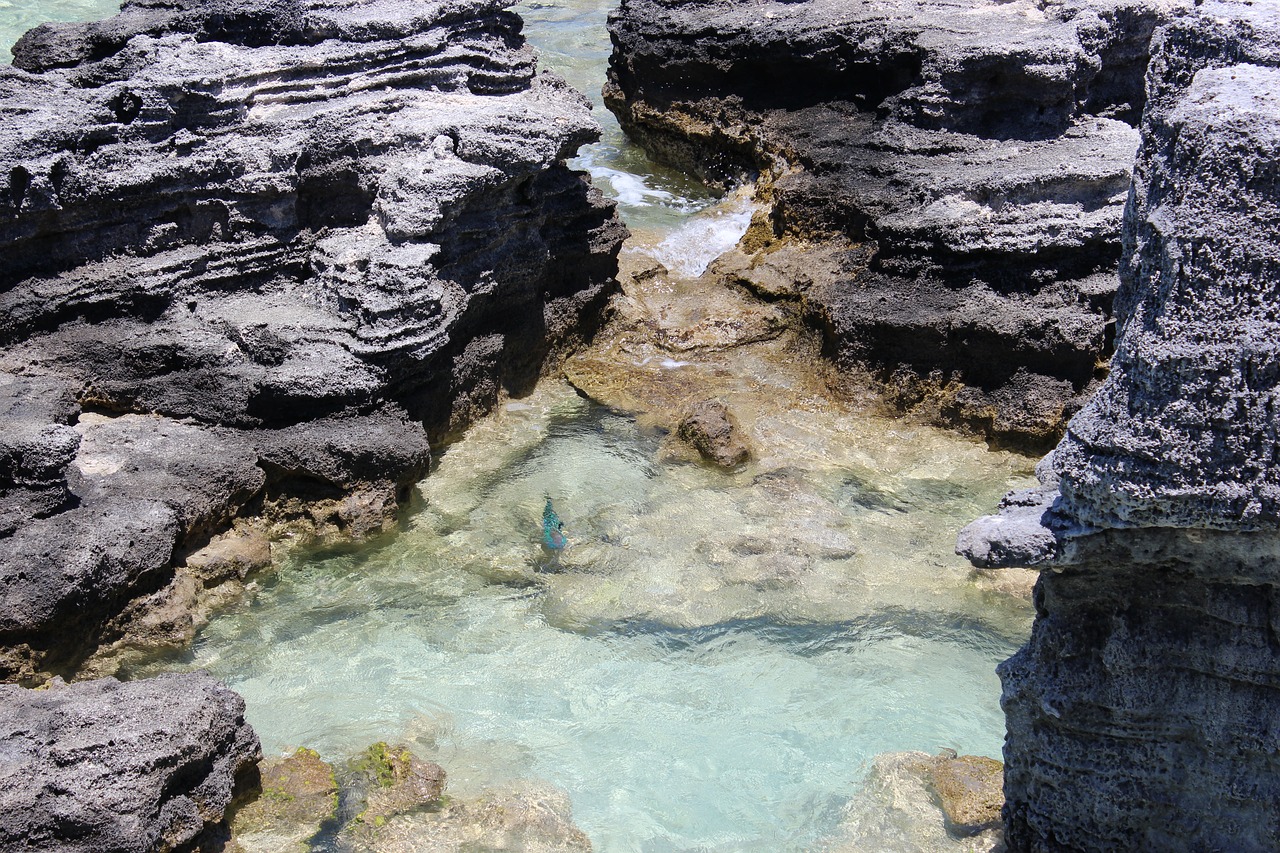bermuda water amazing free photo