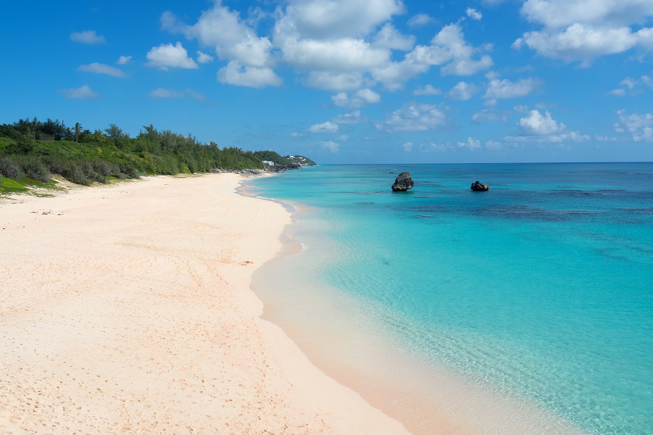 bermuda  pink sand  beach free photo