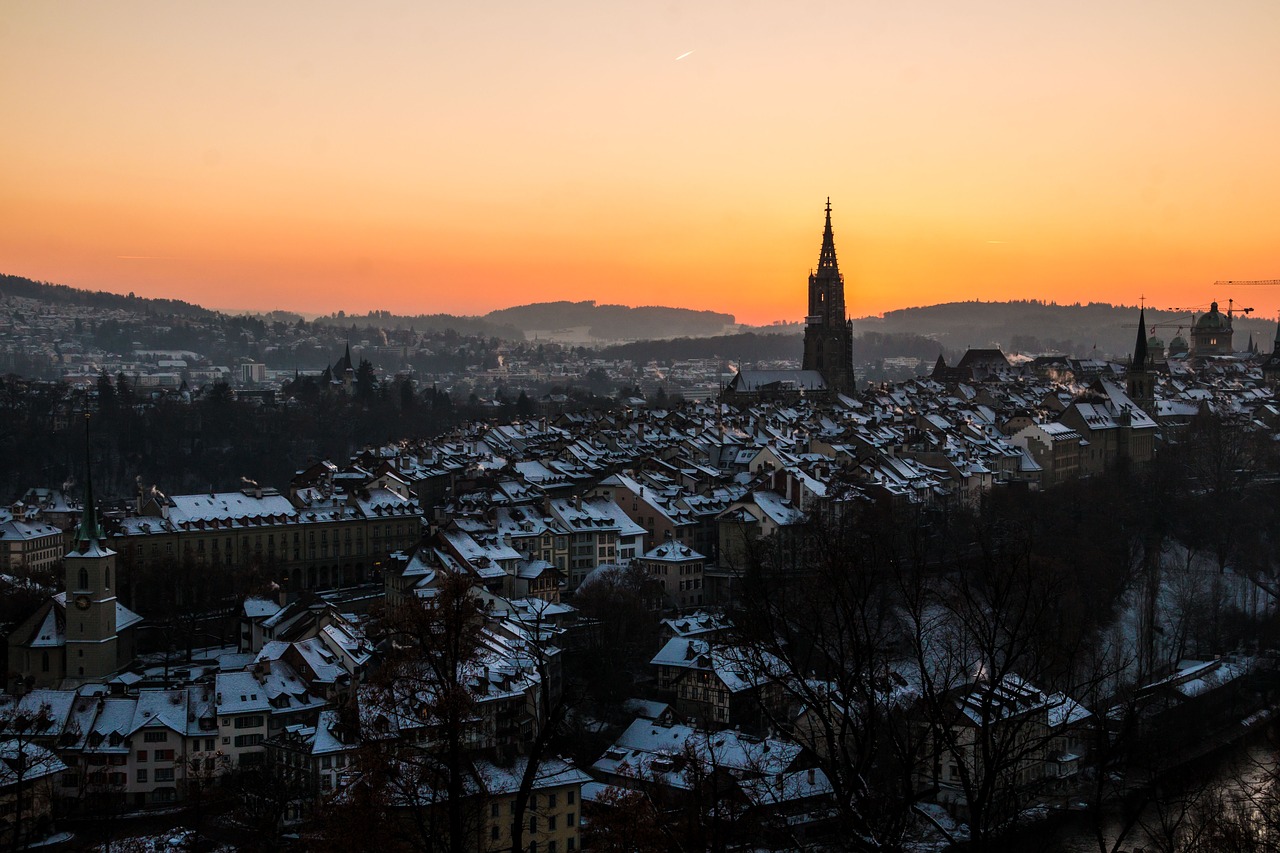 bern switzerland rose garden free photo