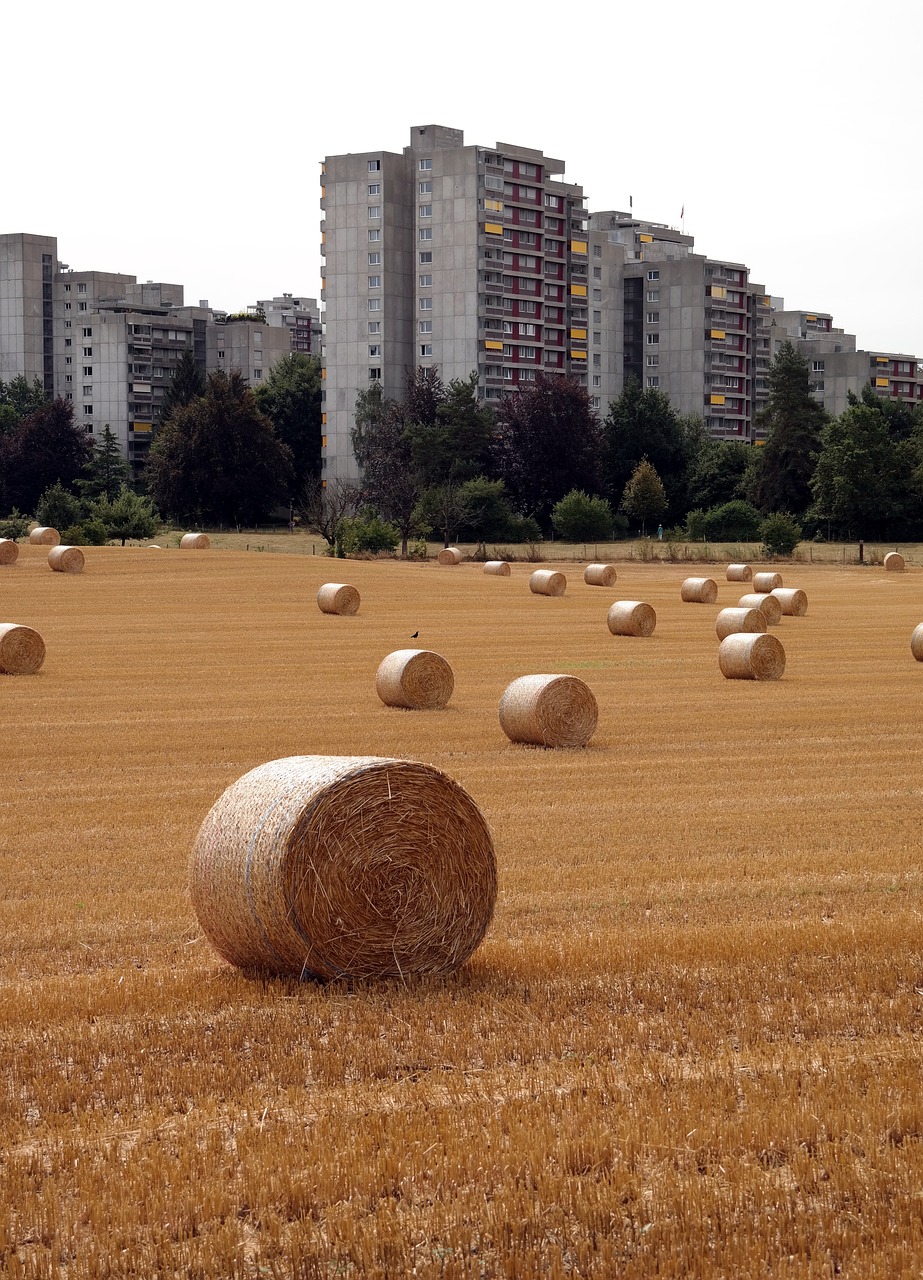 bern switzerland straw bales straw free photo