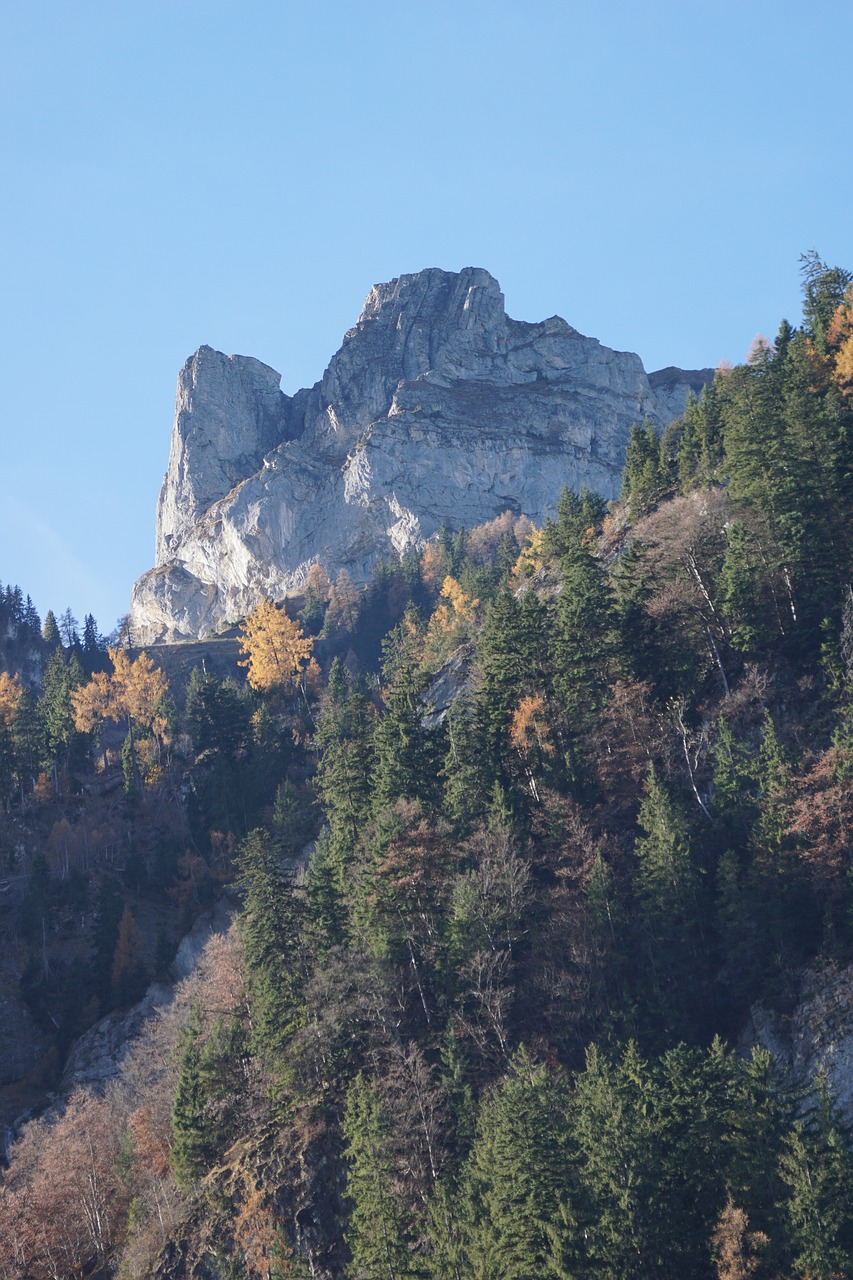 bernese oberland  mountains  alpine free photo