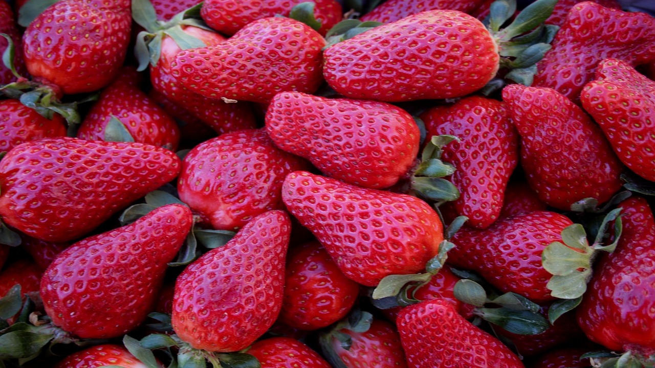 berries strawberries healthy free photo