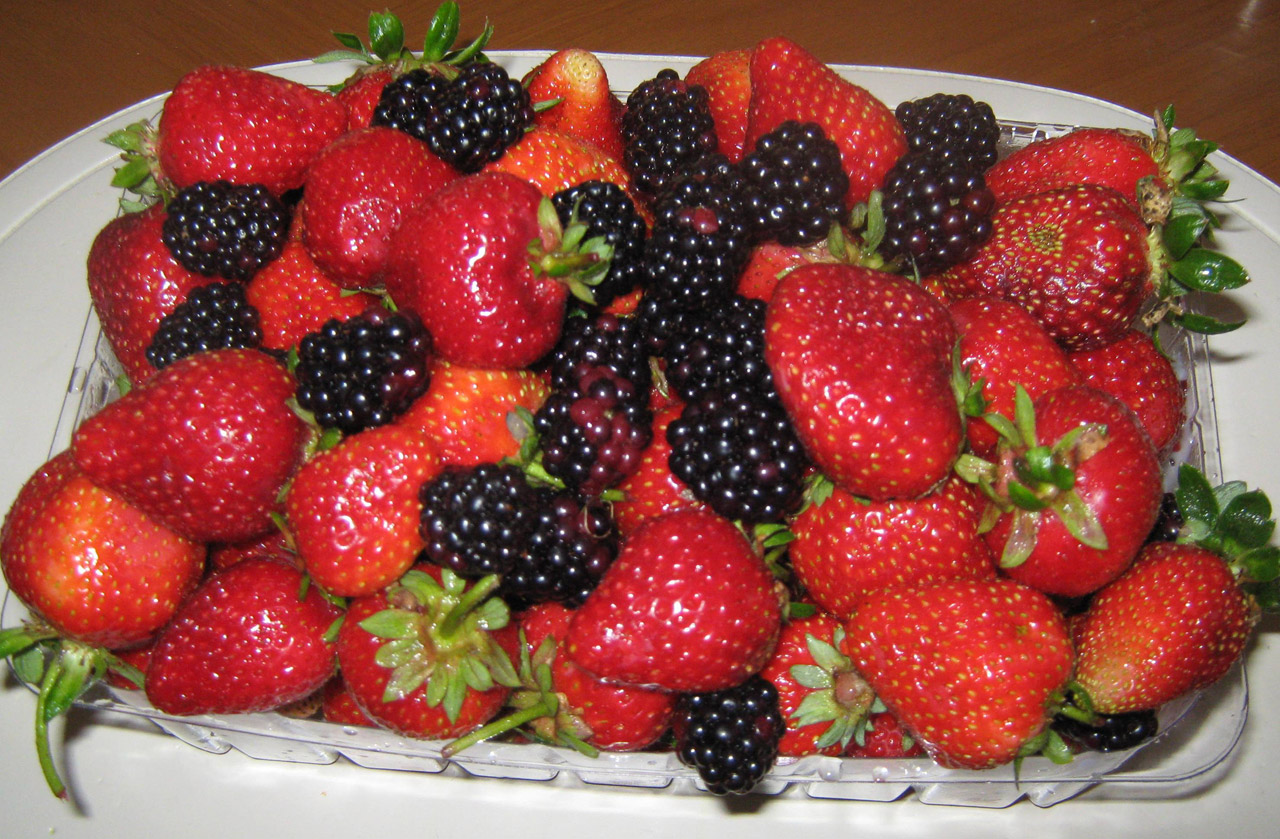 berries strawberries blackberries free photo