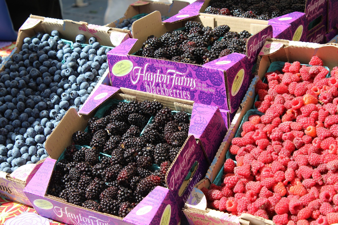 berries blueberries blackberries free photo