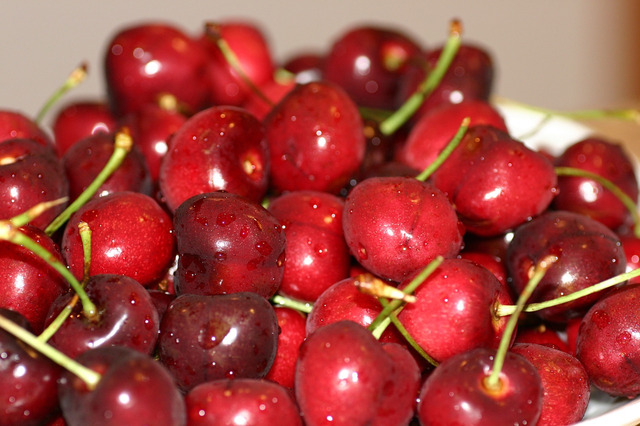 berries cherry berry free photo