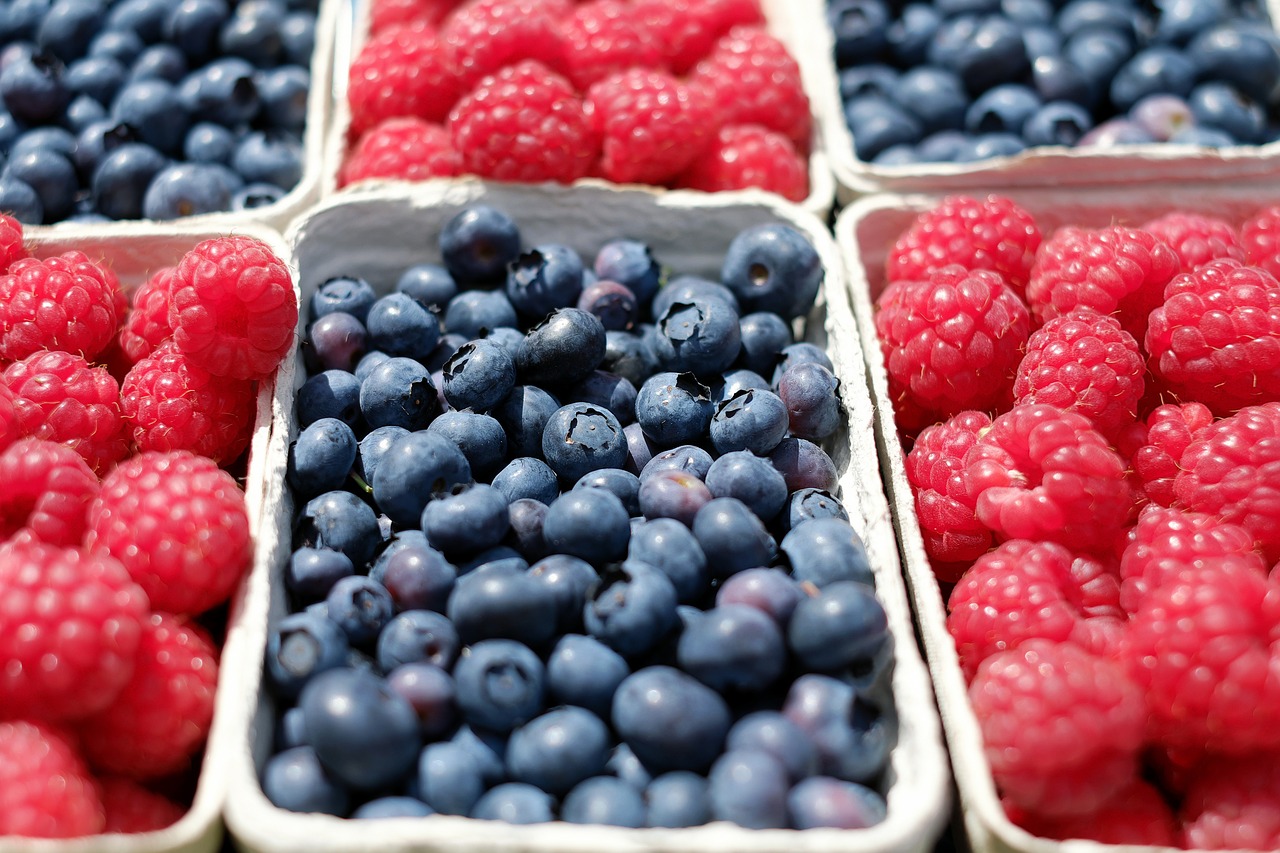 berries blueberries raspberries free photo