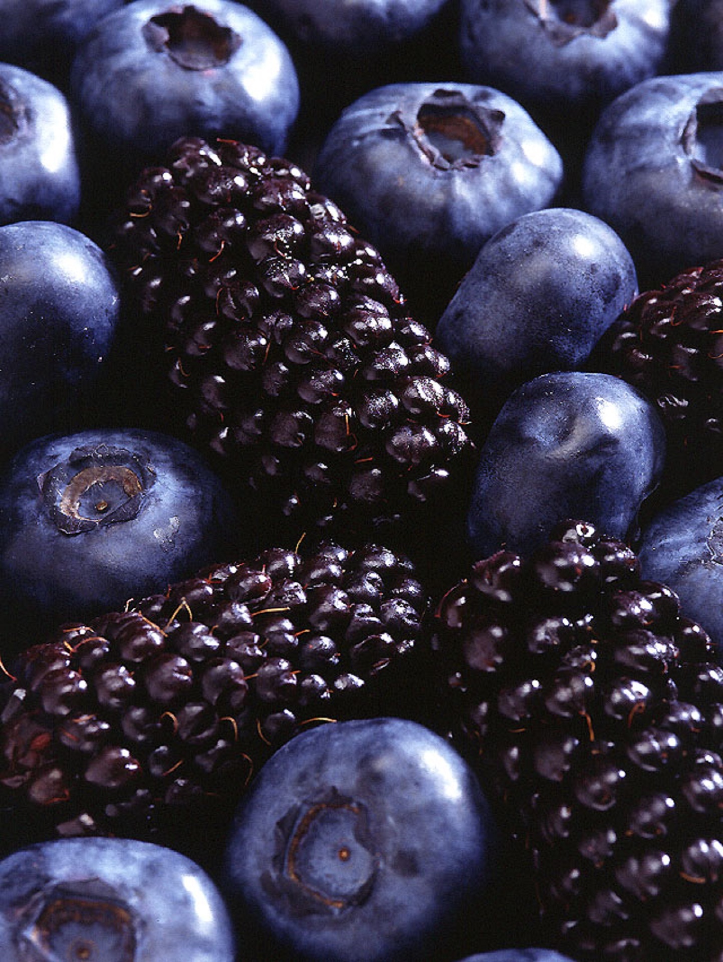 Blueberry ежевика