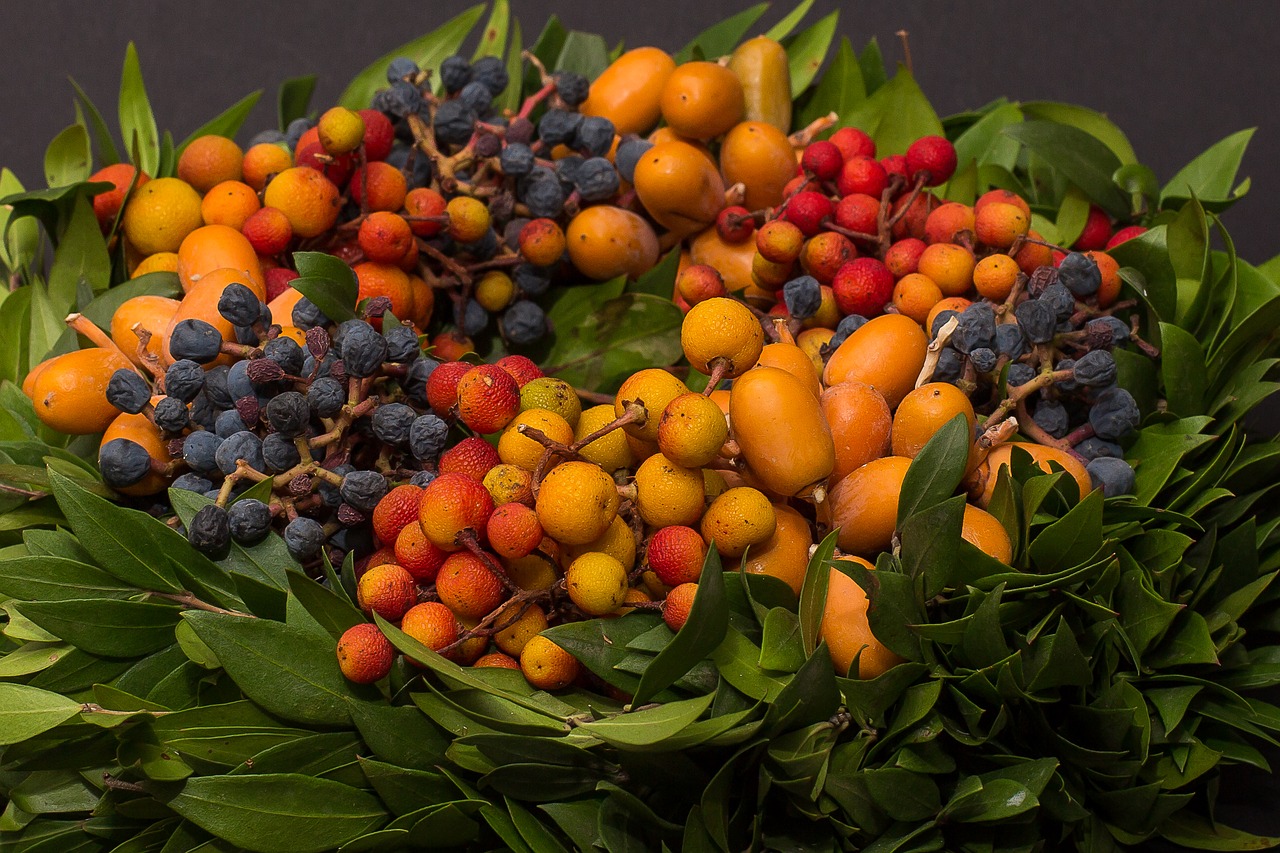 berries autumn autumn wreath free photo