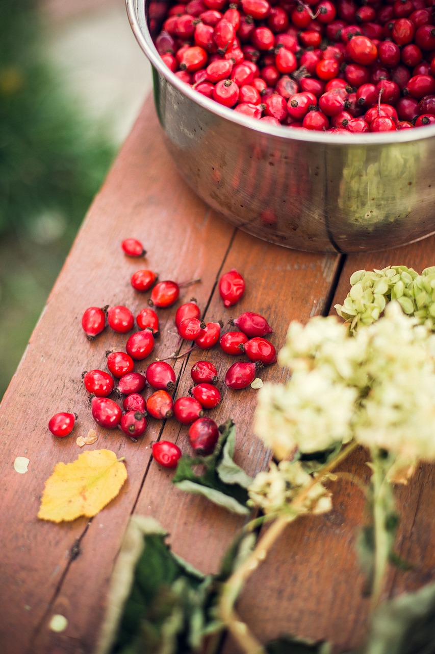 berries food fruits free photo