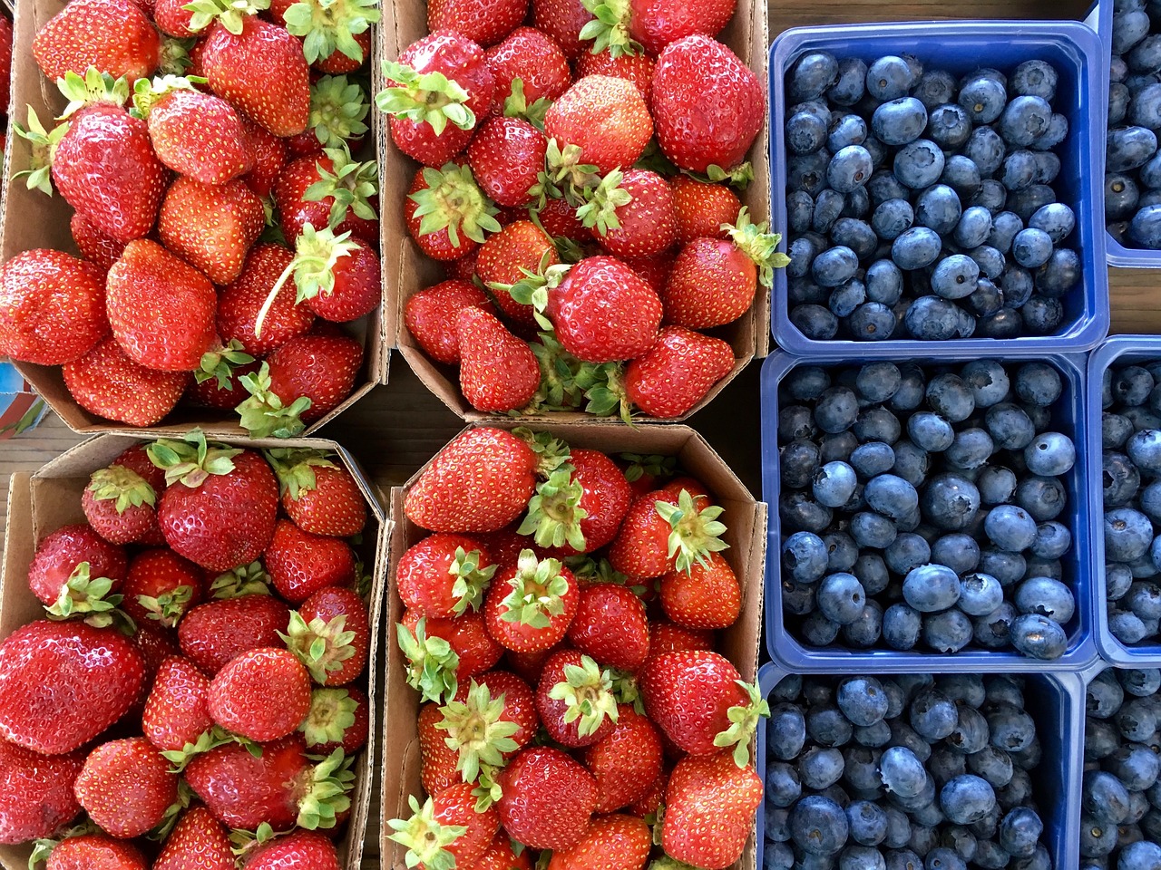 berries blueberries fruits free photo