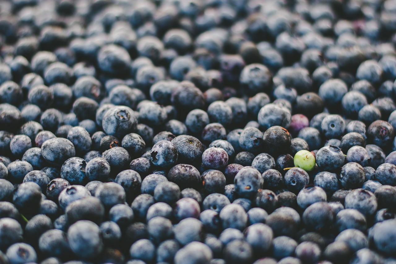 berries blueberries food free photo