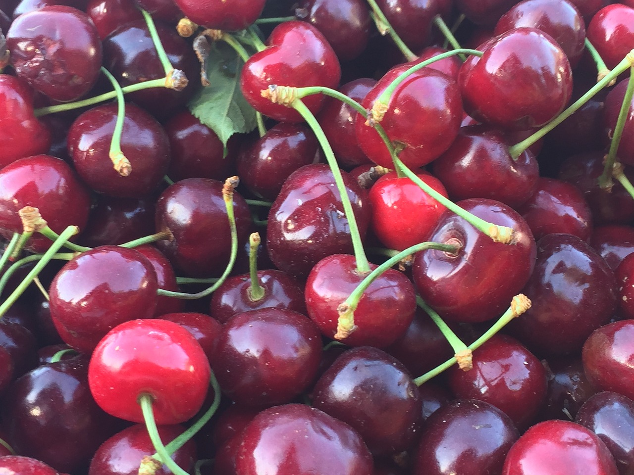 berries cherries red free photo