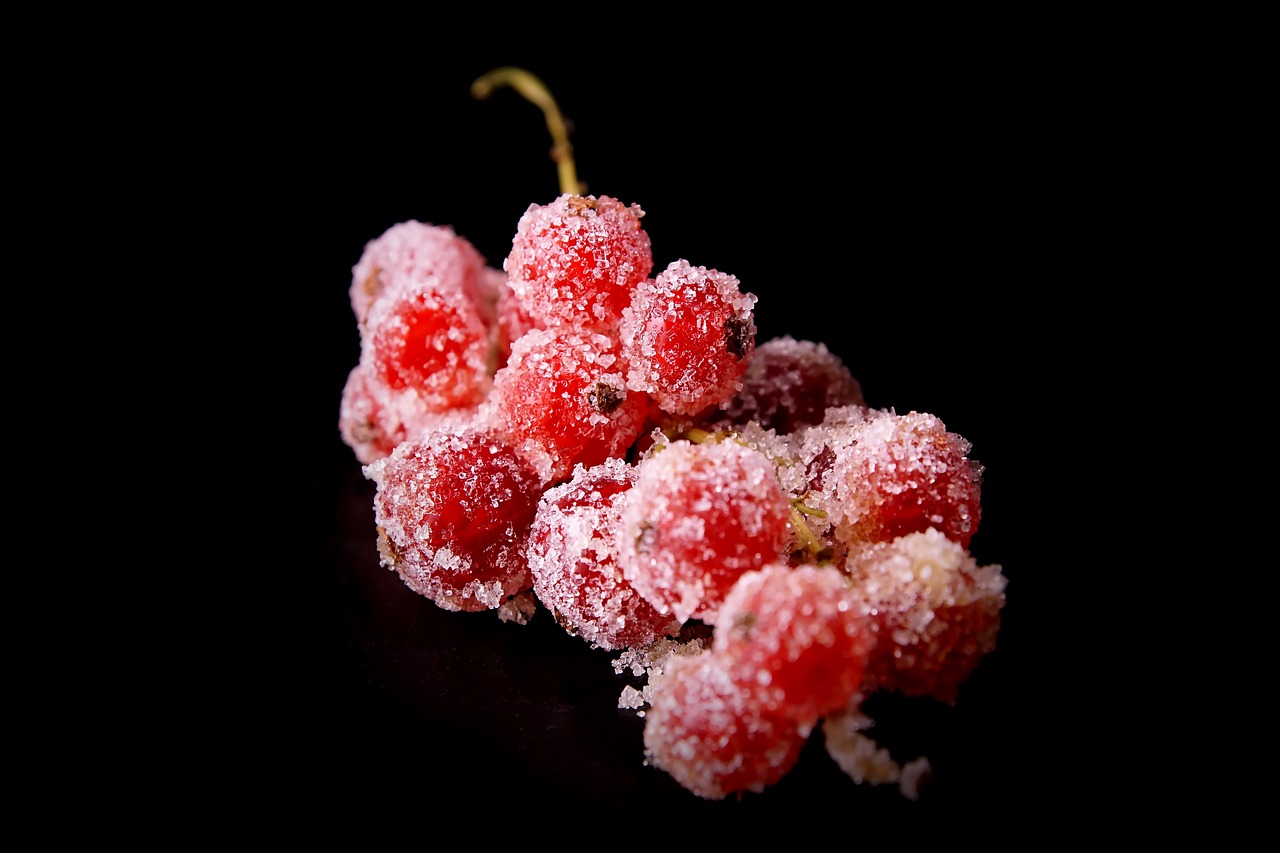 berries sugar dessert free photo