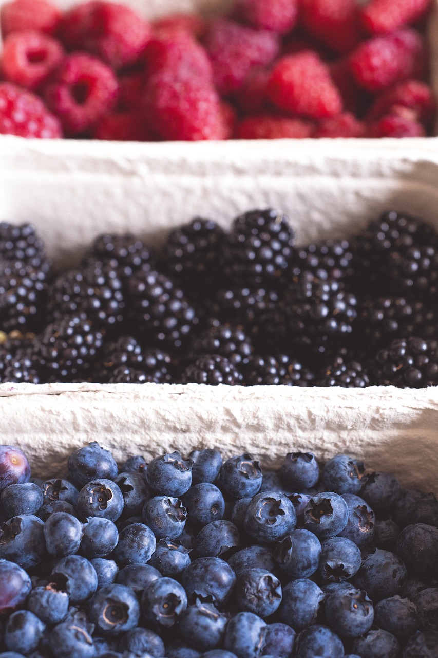 berries  blueberries  blackberries free photo