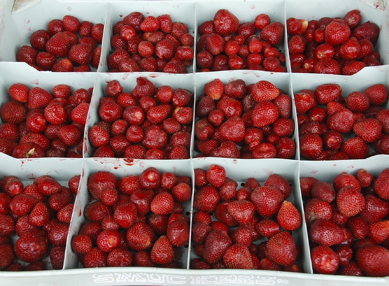 berries strawberries healthy free photo