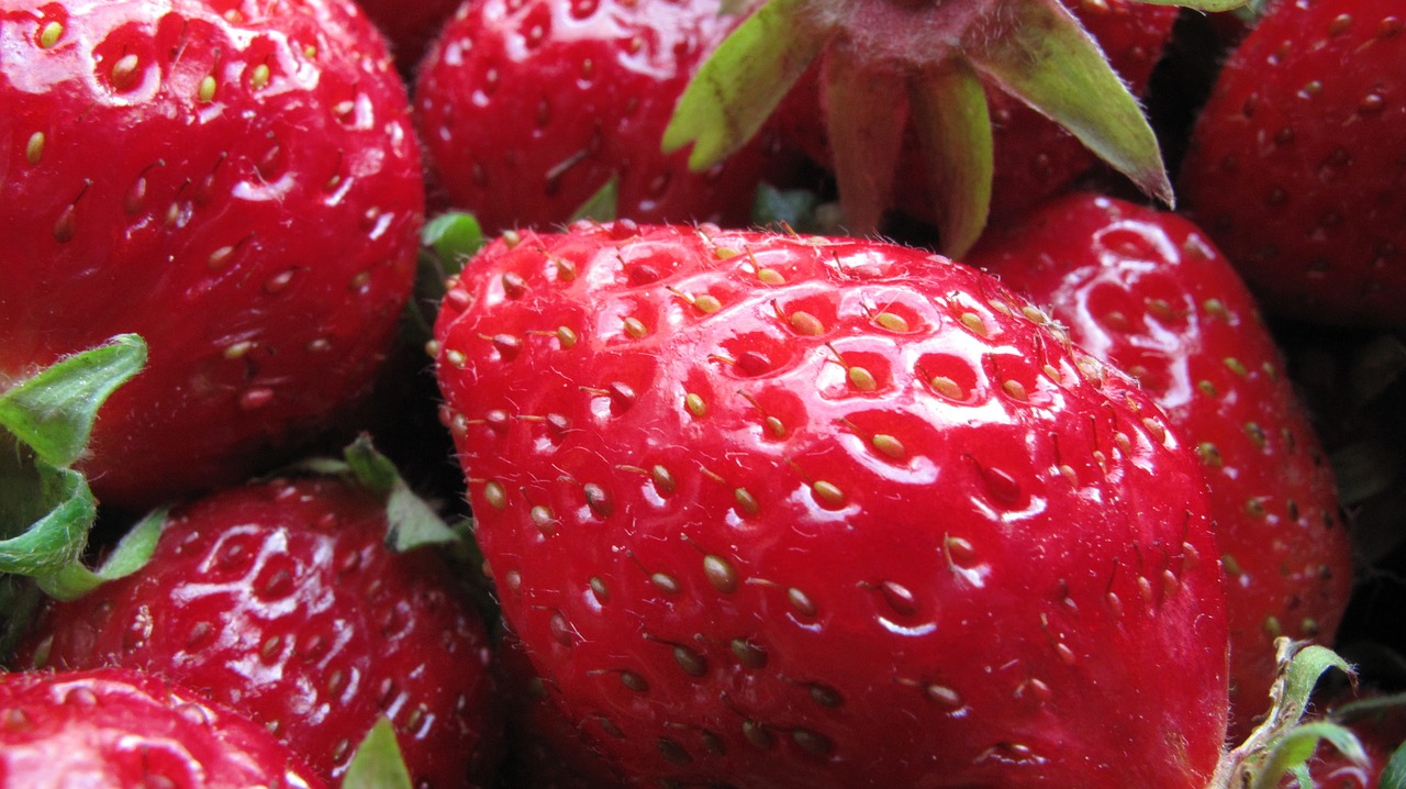 berries strawberries macro free photo