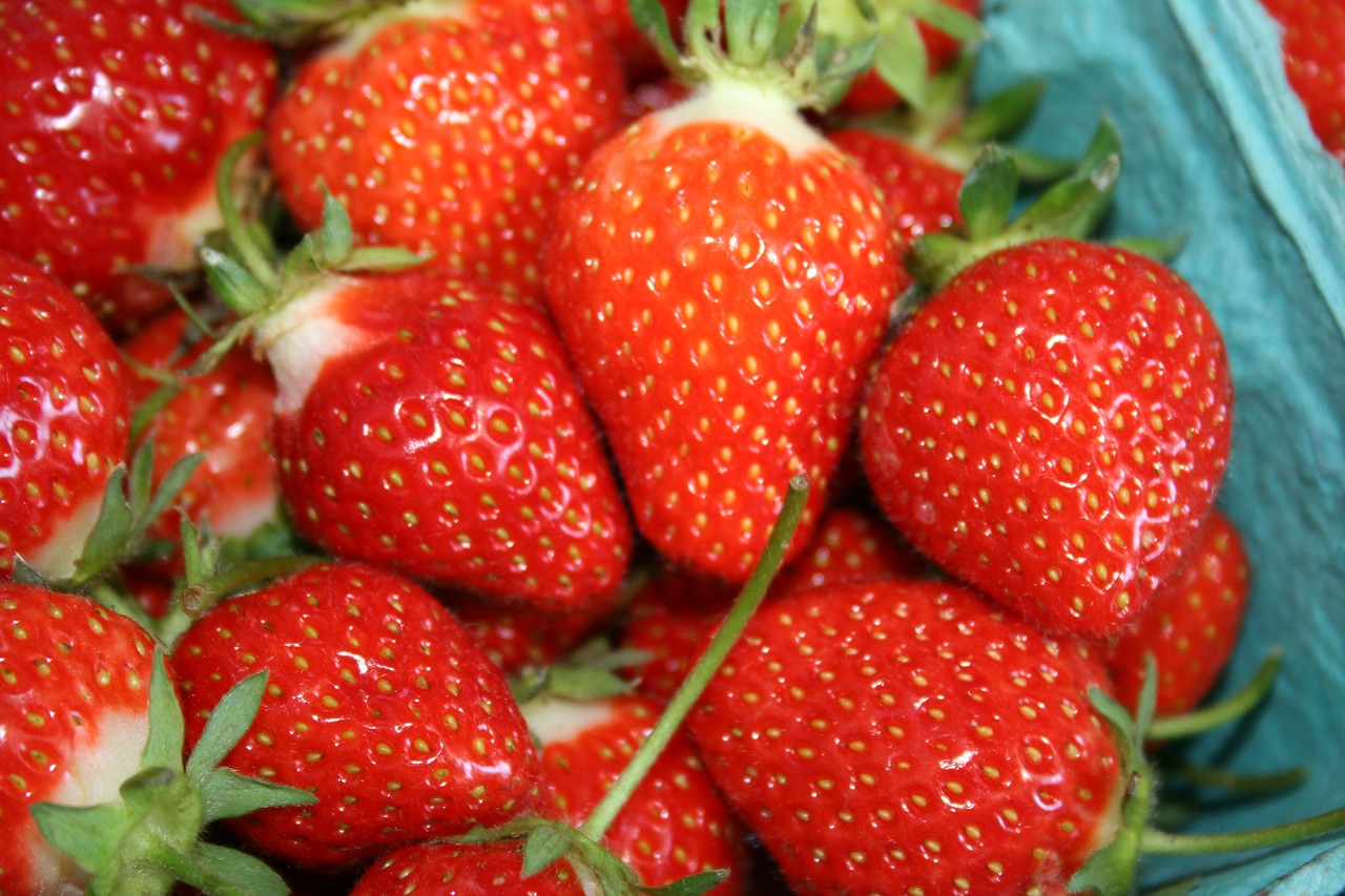 berries strawberries healthy free photo