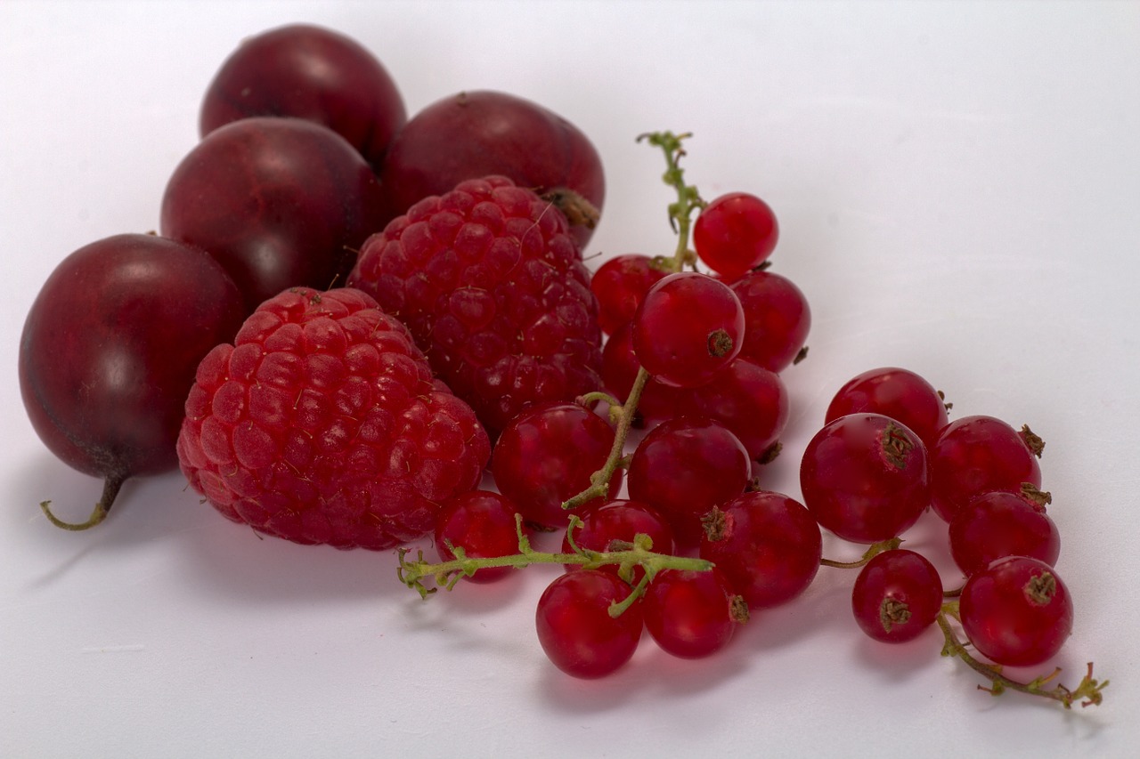 berries raspberries currants free photo