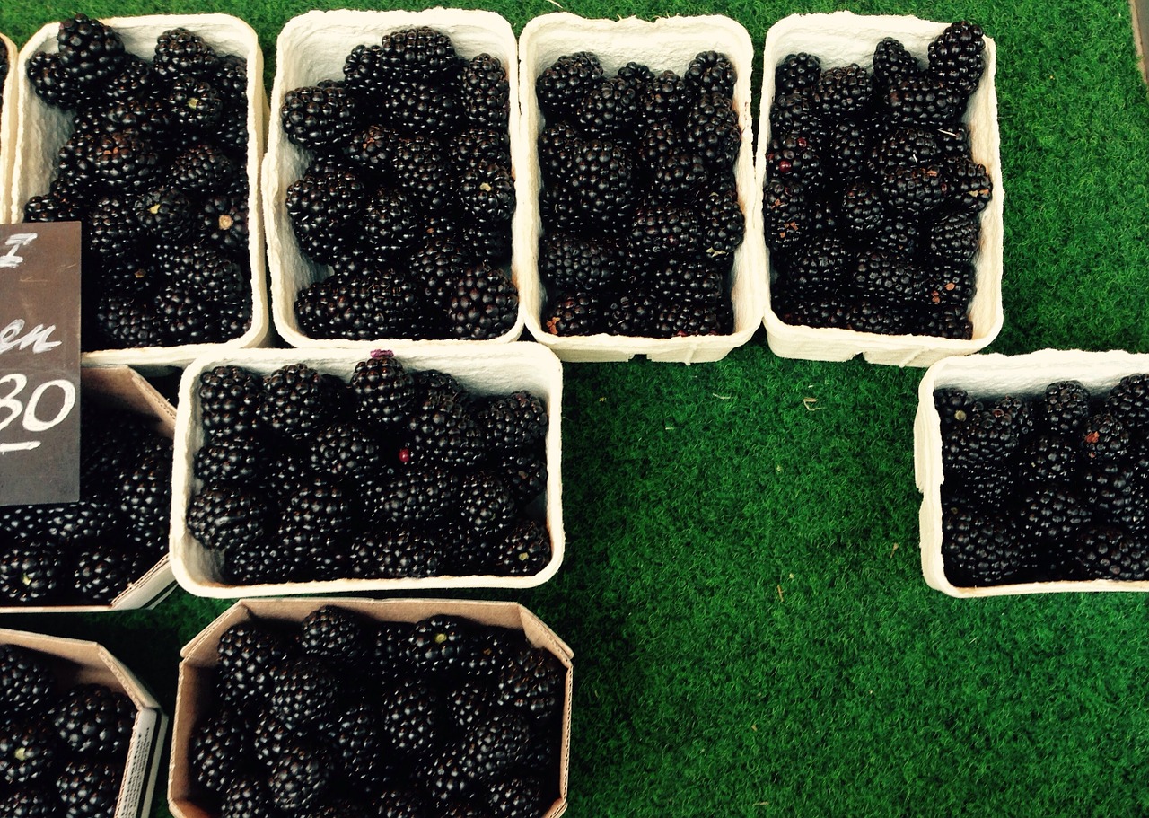 berries blackberries black free photo