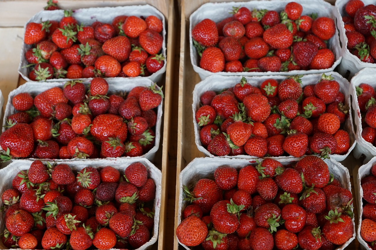 berries eat market free photo