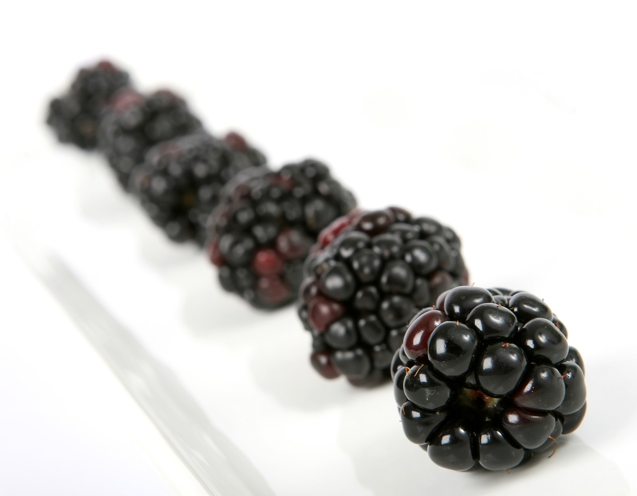 berry black blackberry free photo