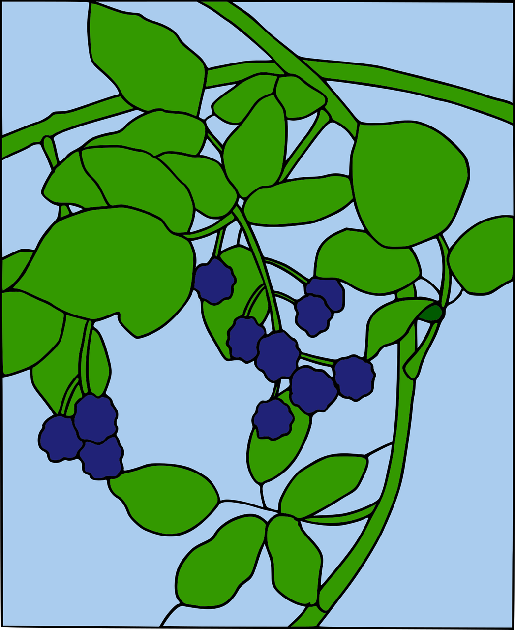 berry blackberry coloring book free photo