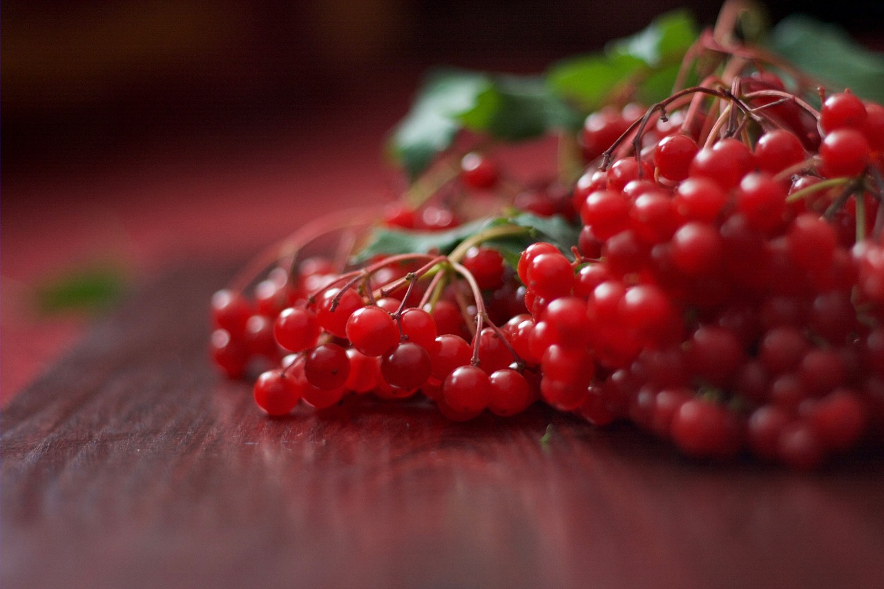 berry fruit food free photo