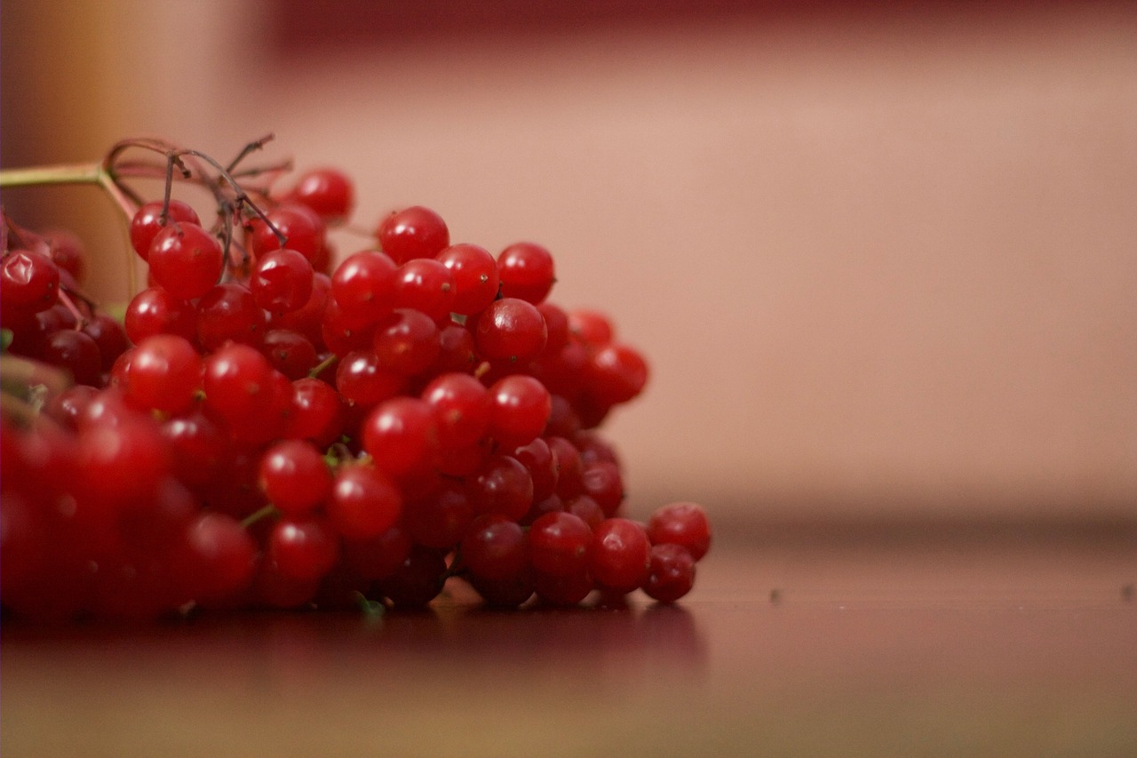 berry  fruit  food free photo