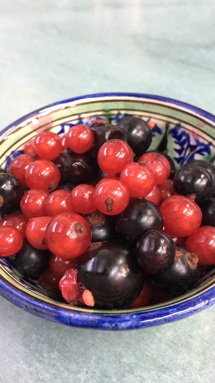 berry  currant  healthy free photo