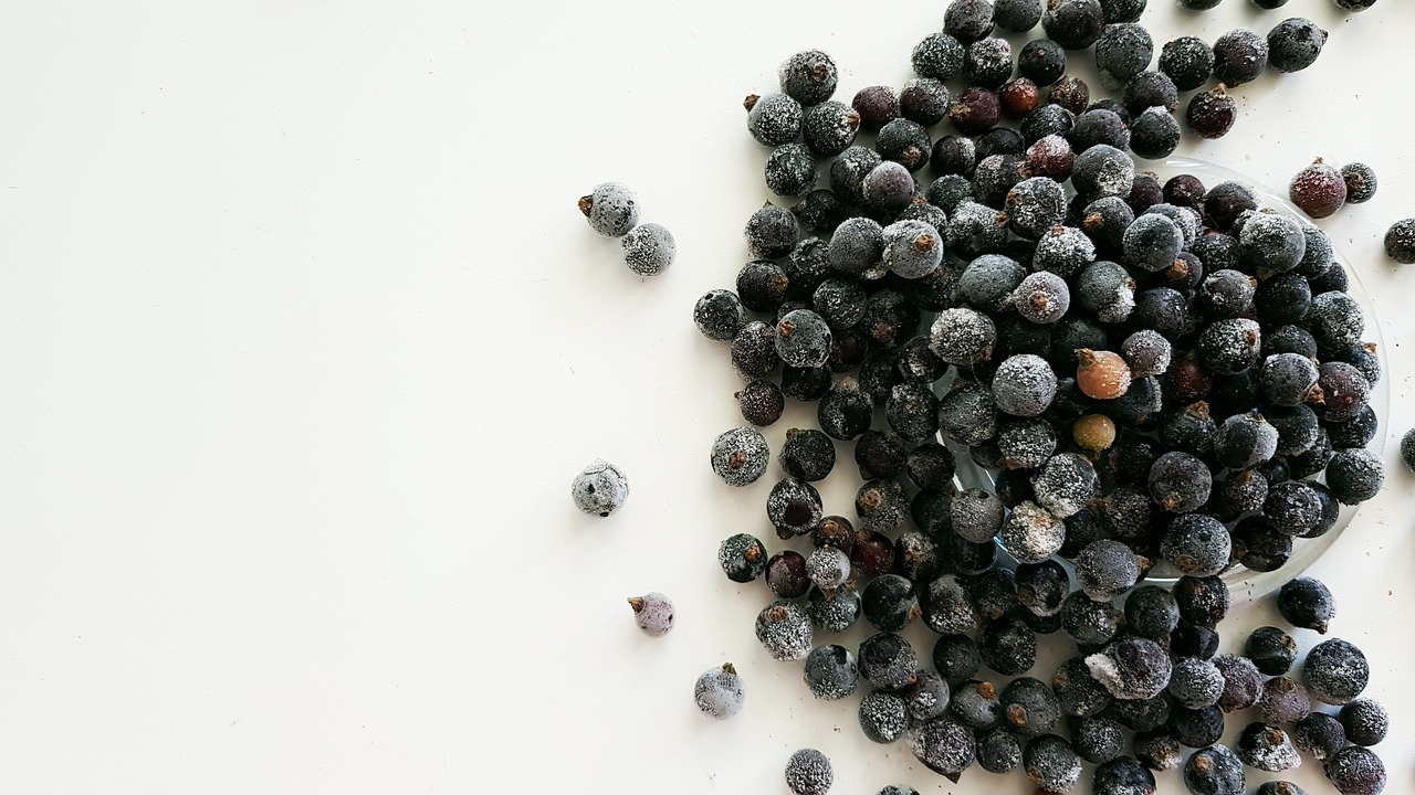 berry  currant  nutrition free photo