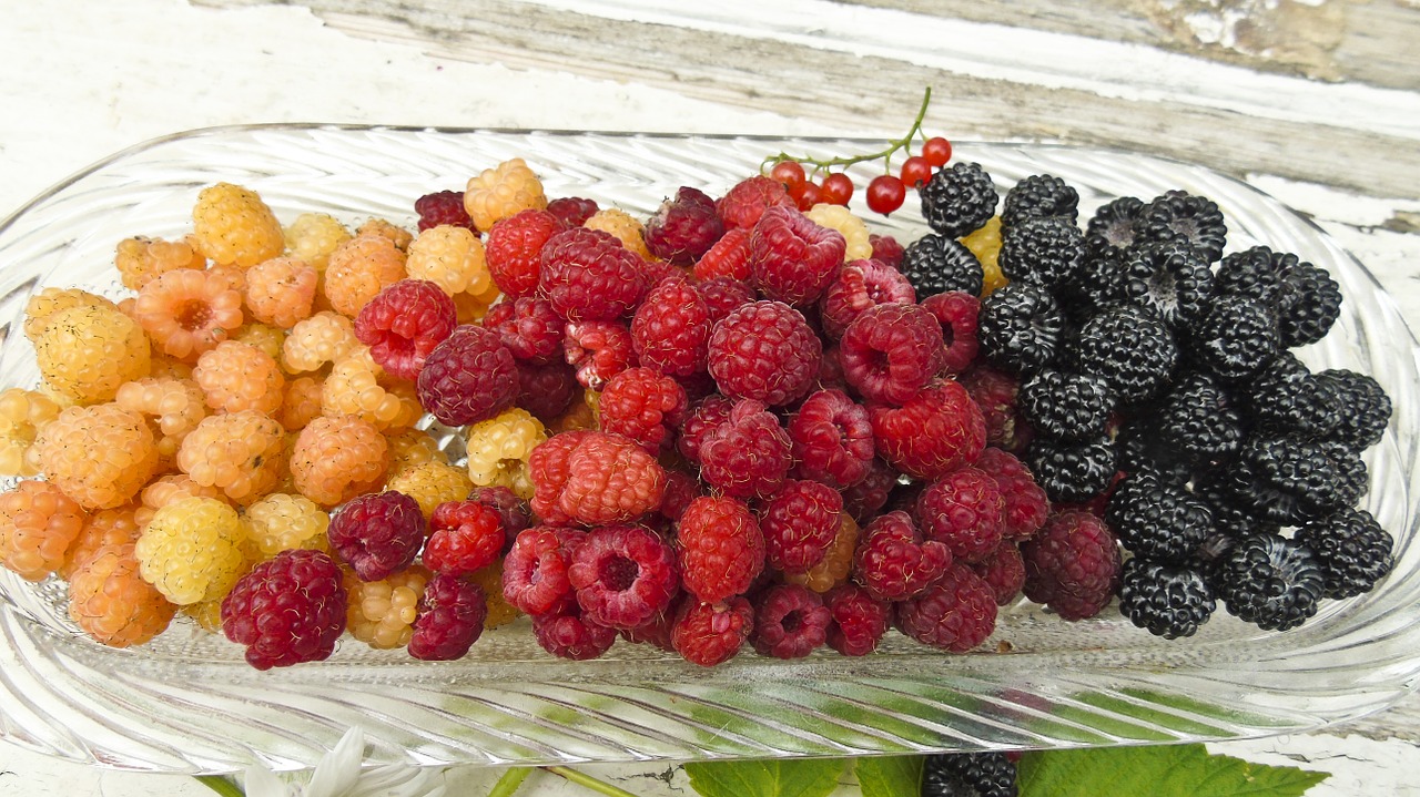 berry raspberry blackberry free photo