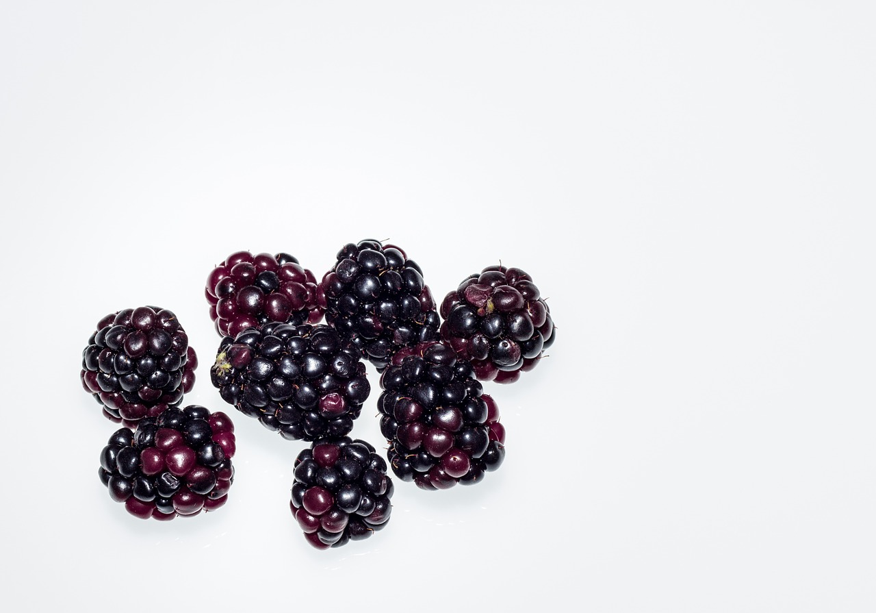 berry fruit blackberry free photo