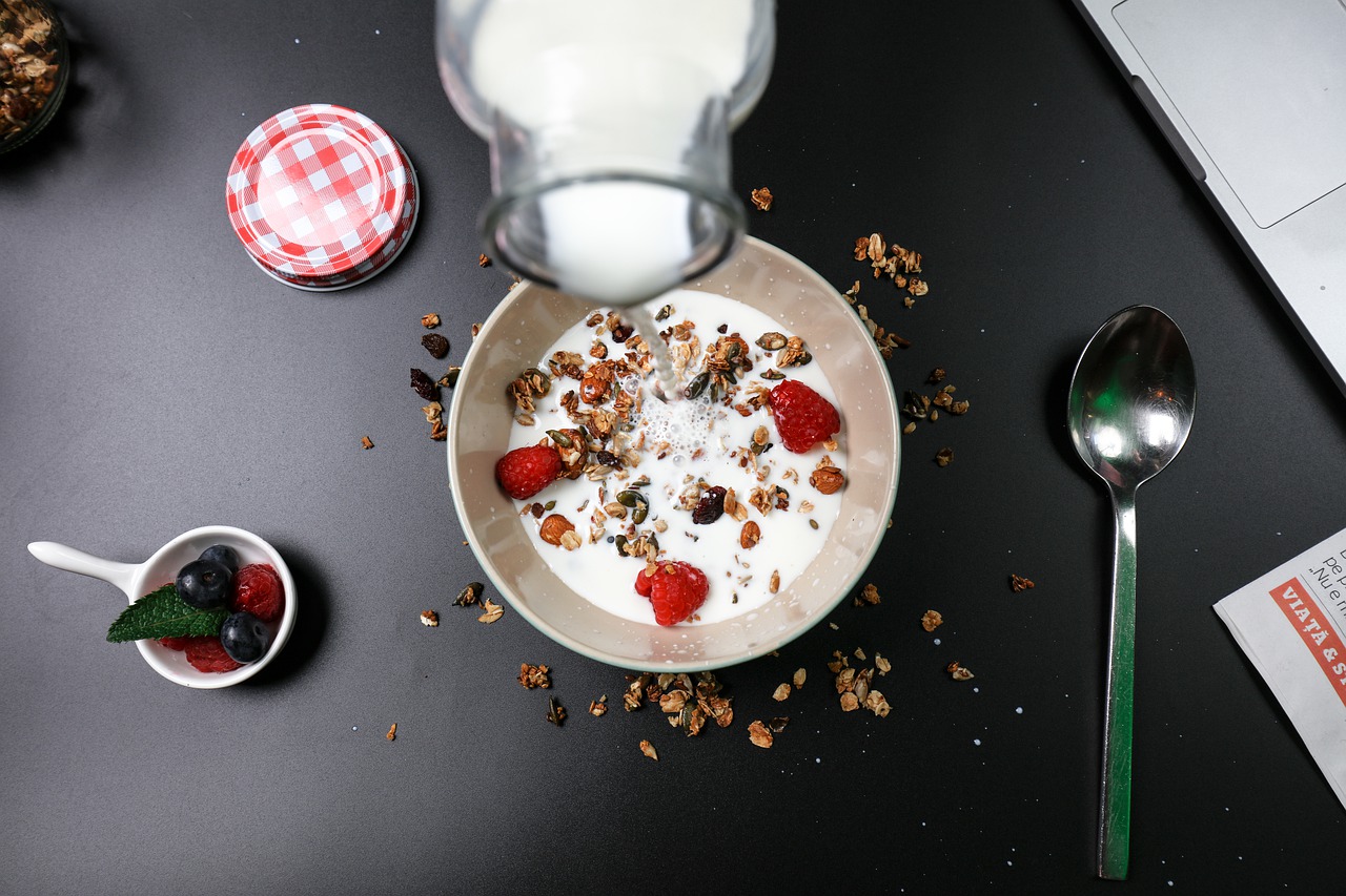 berry breakfast  cereal  cream free photo