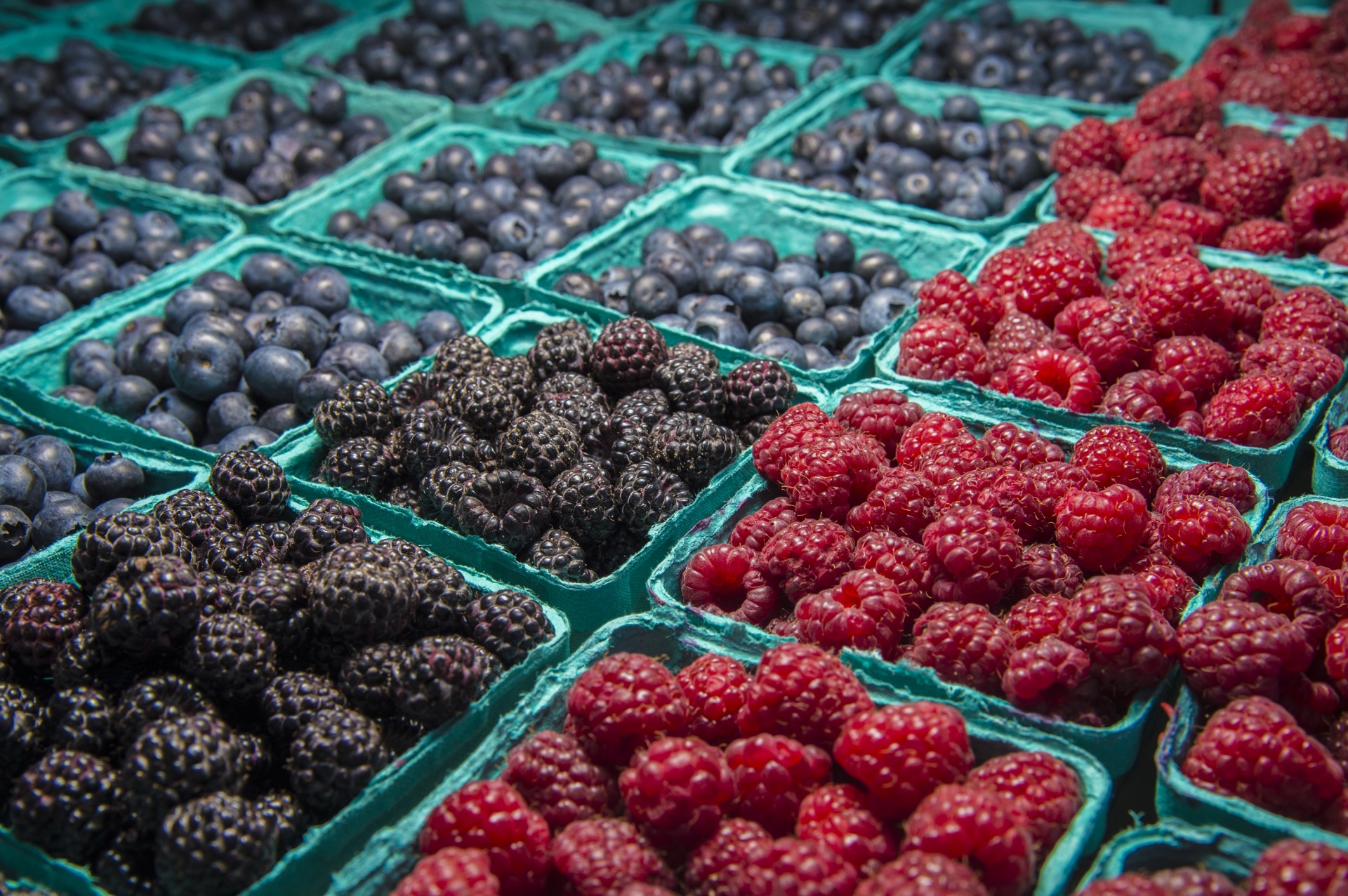 berries raspberry blueberry free photo