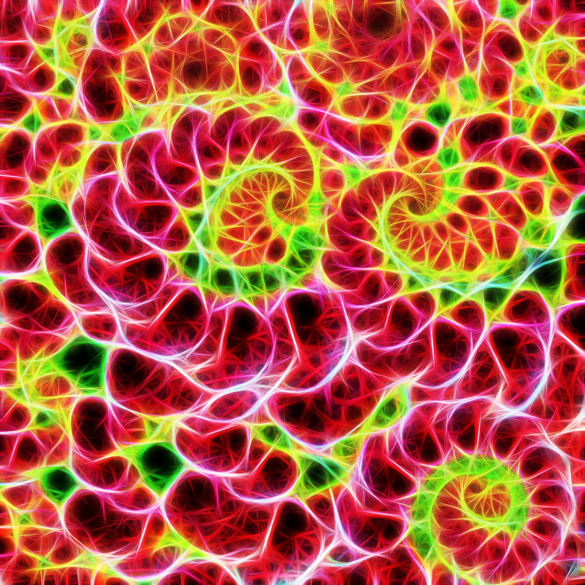 berry delight fractal art commercial use fractal wall art free fractal free photo