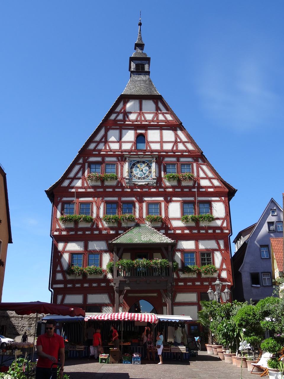 besigheim town hall truss free photo