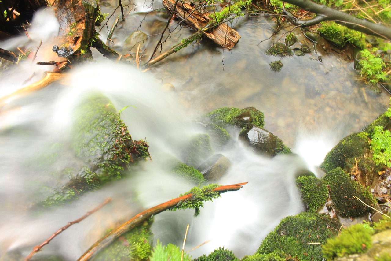 beskydy kompařov stream free photo