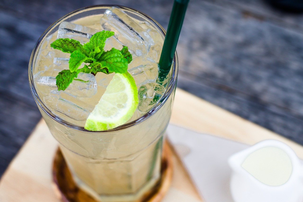 beverage lemon mint leaves free photo