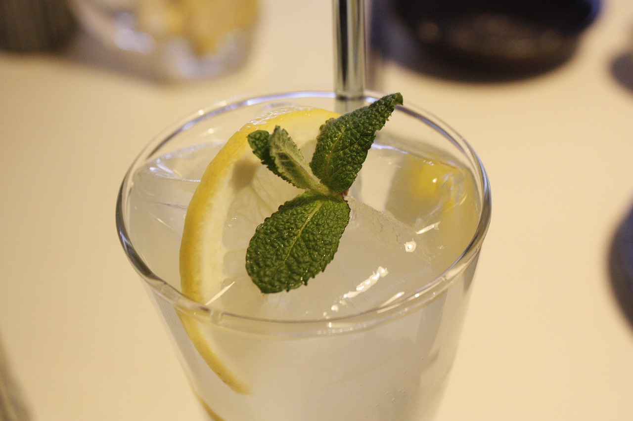 beverages cocktail lemon free photo