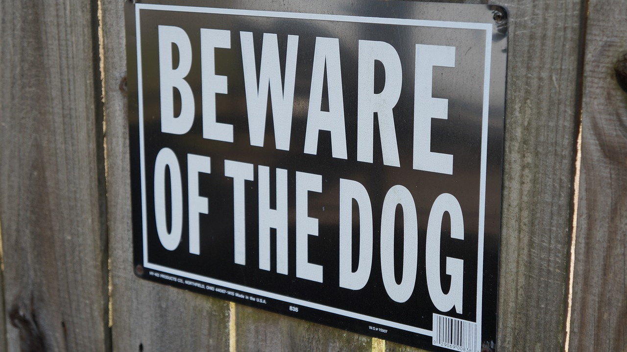 beware of dog  sign  beware free photo