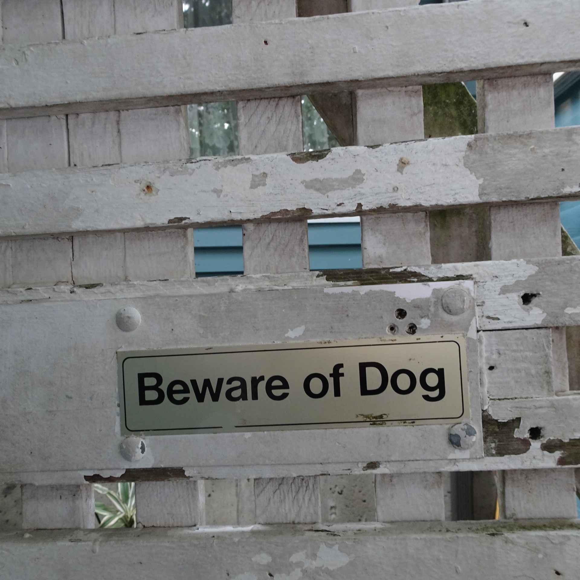 beware dog gate free photo