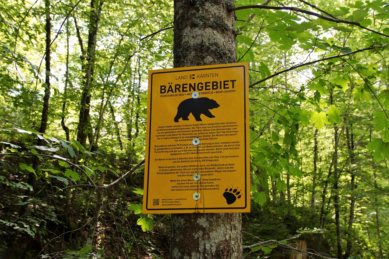 beware of the bear warning warning signs free photo